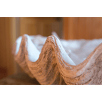 Magnesia Large Seashell Decorative Bowl White Cliff Studio Decorative Objects