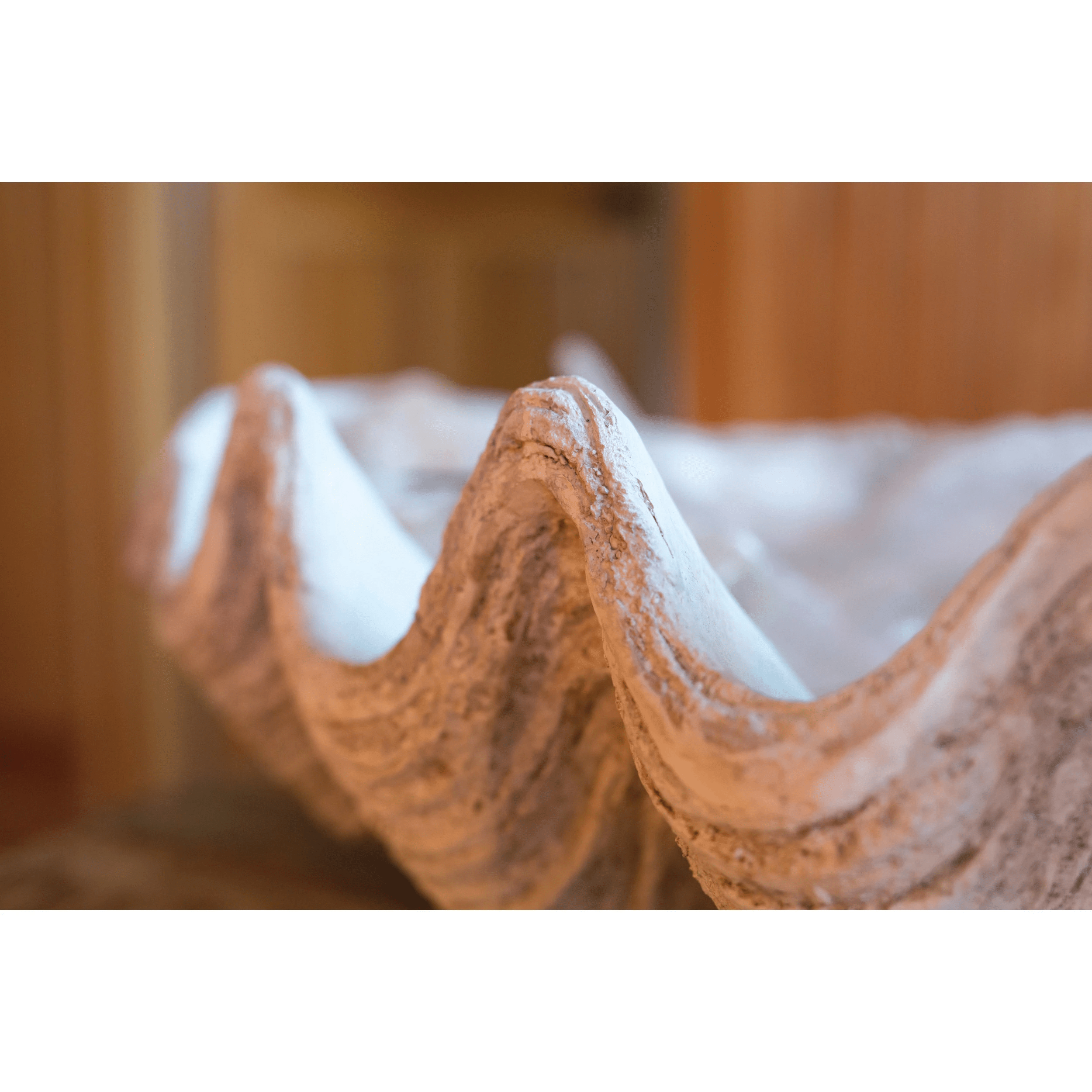 Magnesia Large Seashell Decorative Bowl White Cliff Studio Decorative Objects