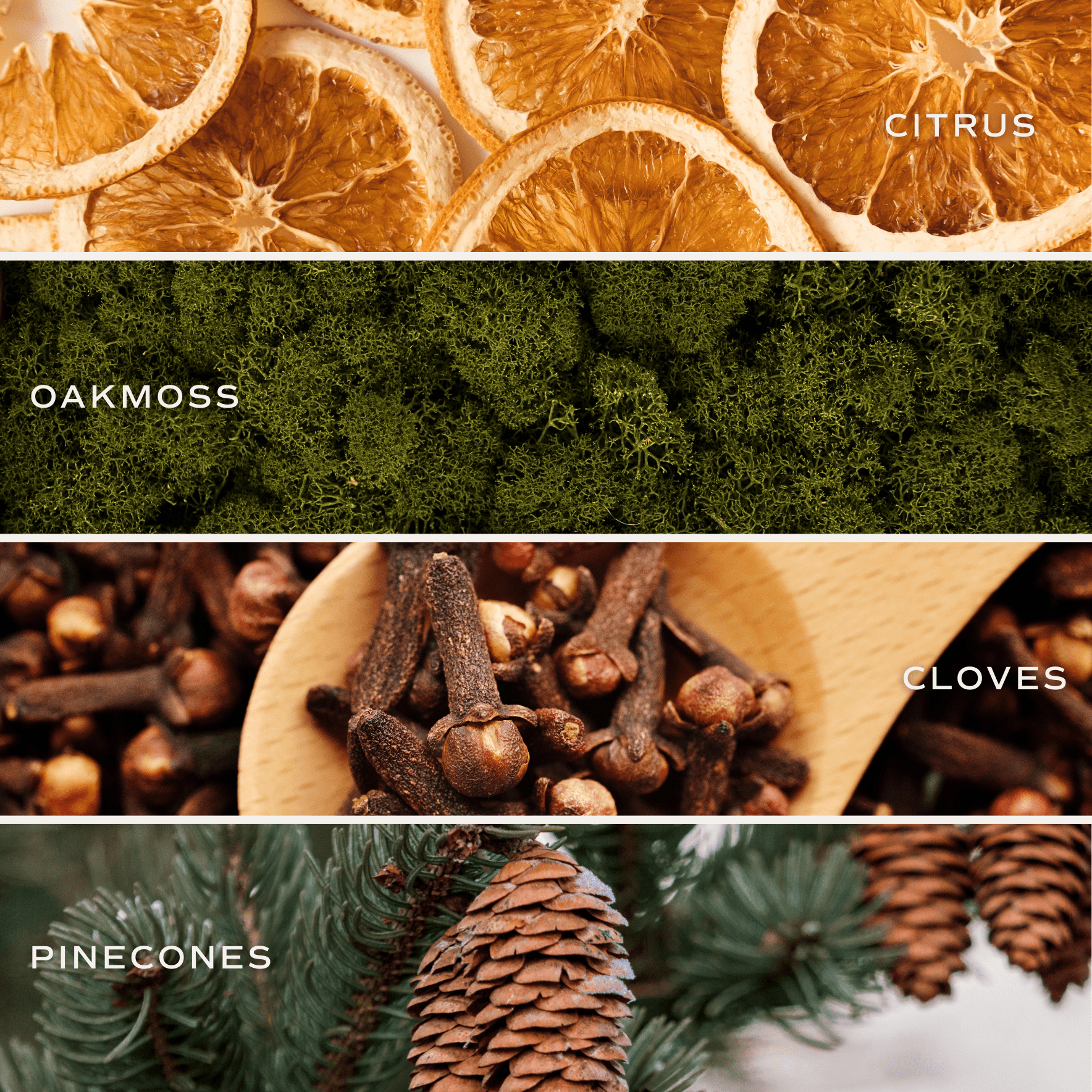 Holiday Soy Candle - Clear Jar - 9 oz White Cliff Studio Candles and Candle Accessories