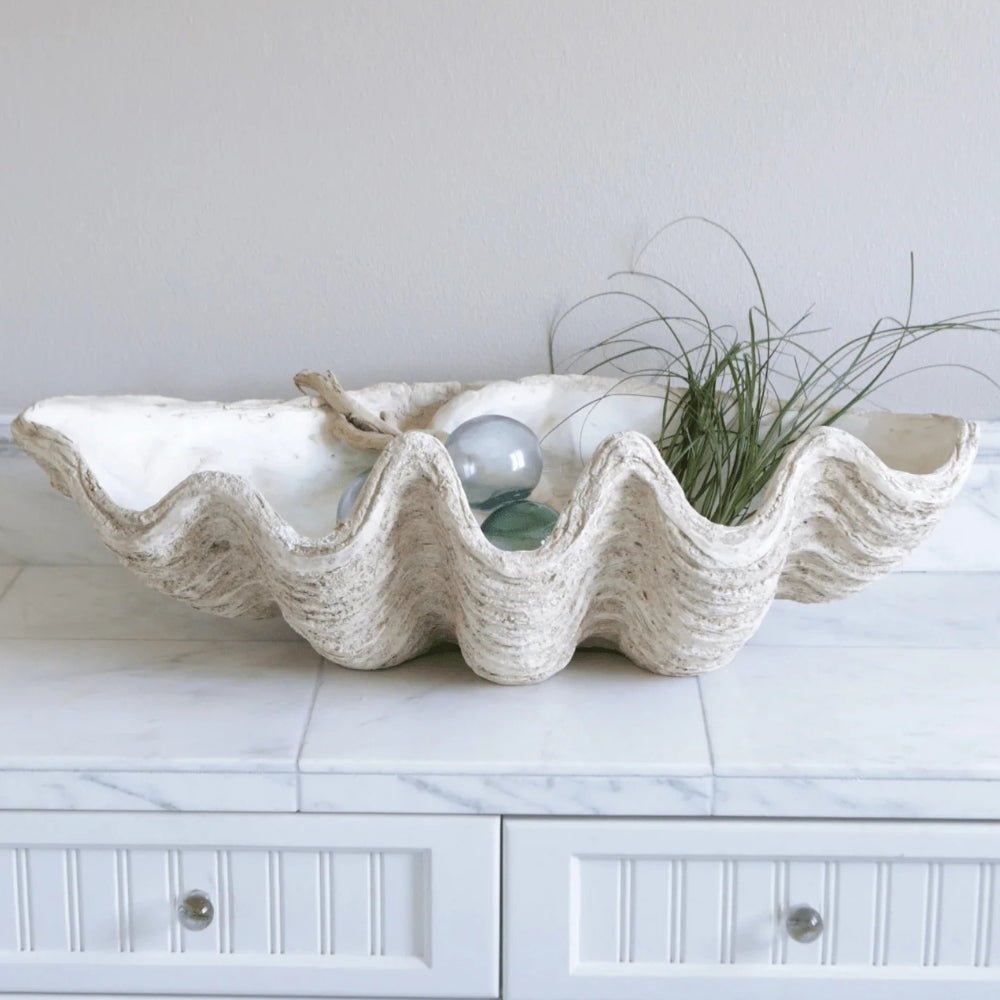 Magnesia Large Seashell Decorative Bowl White Cliff Studio Decorative Objects