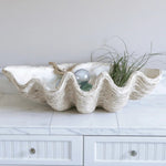 Magnesia Large Seashell Decorative Bowl White Cliff Studio Decorative Objects