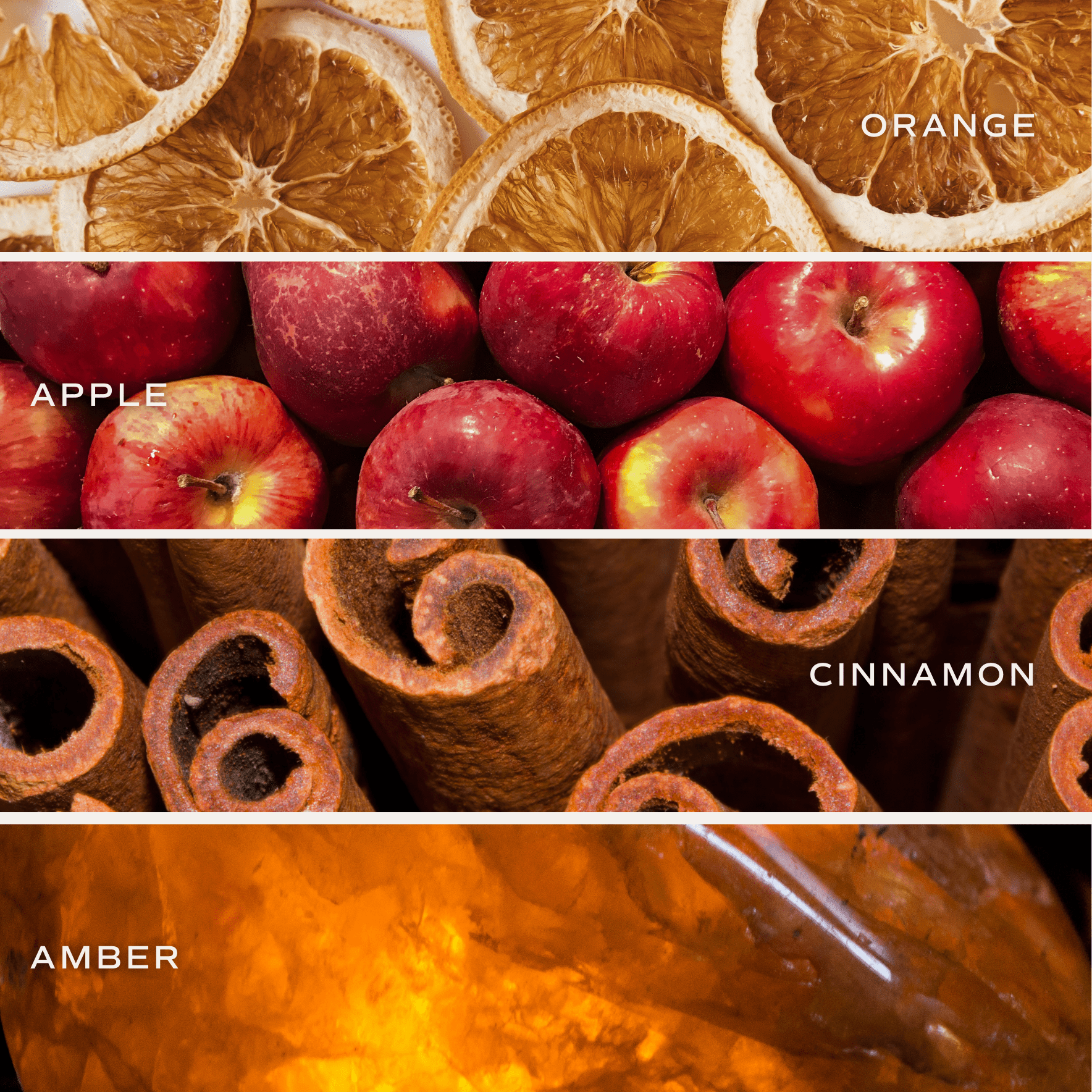 Mulled Cider Soy Candle - White Jar - 11 oz White Cliff Studio Candles and Candle Accessories