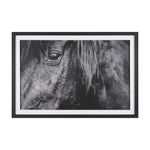 Mustang by Nathan Larson a Hand Embellished Framed Art Print Matted under Glass White Cliff Studio