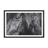 Mustang by Nathan Larson a Hand Embellished Framed Art Print Matted under Glass White Cliff Studio