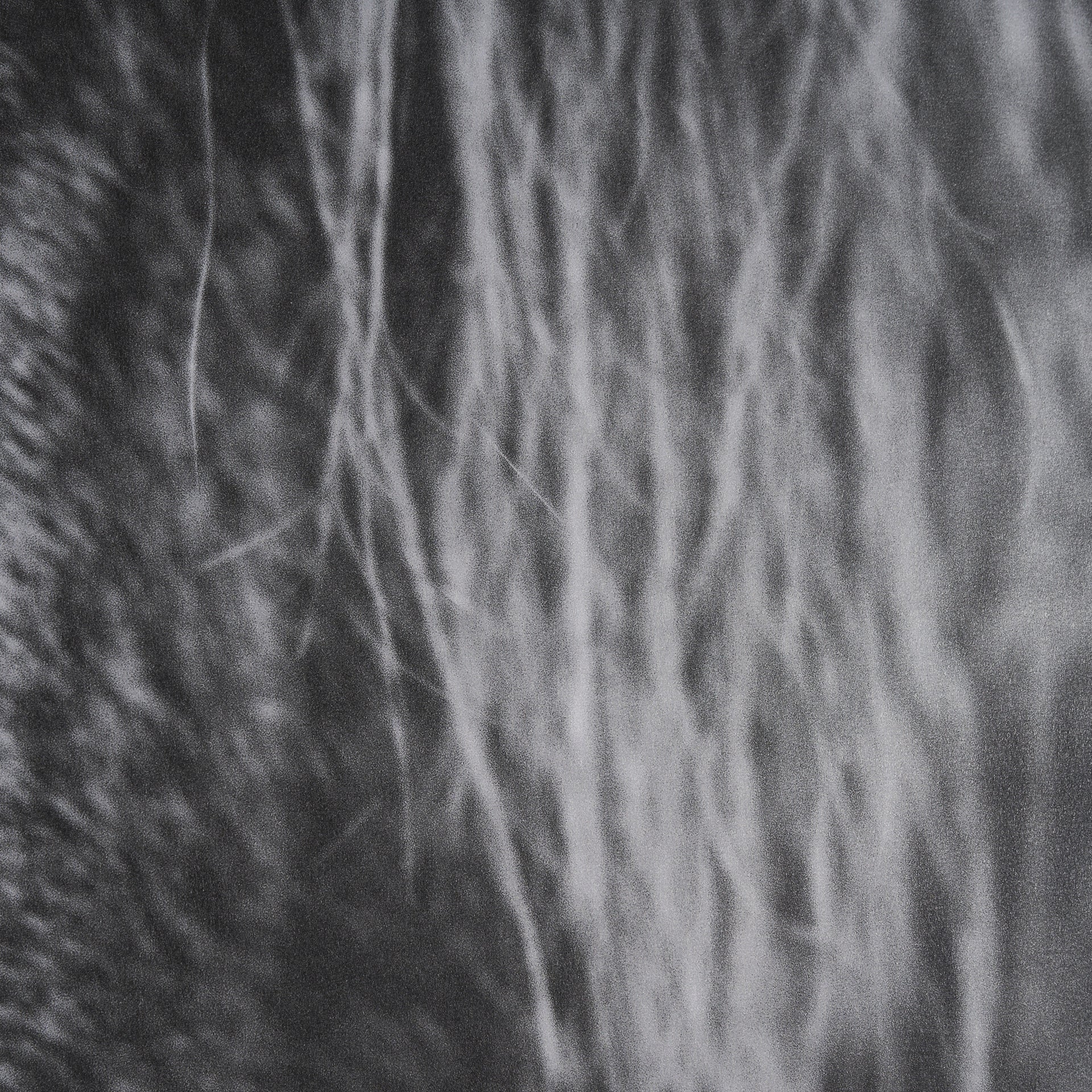 Mustang by Nathan Larson a Hand Embellished Framed Art Print Matted under Glass White Cliff Studio