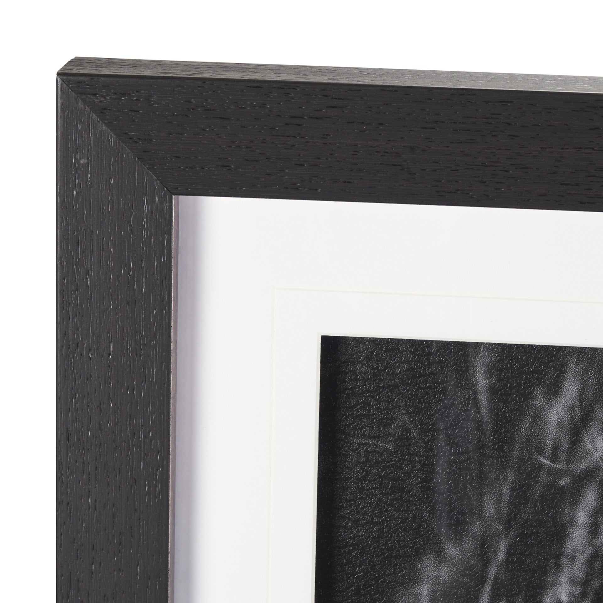 Mustang by Nathan Larson a Hand Embellished Framed Art Print Matted under Glass White Cliff Studio