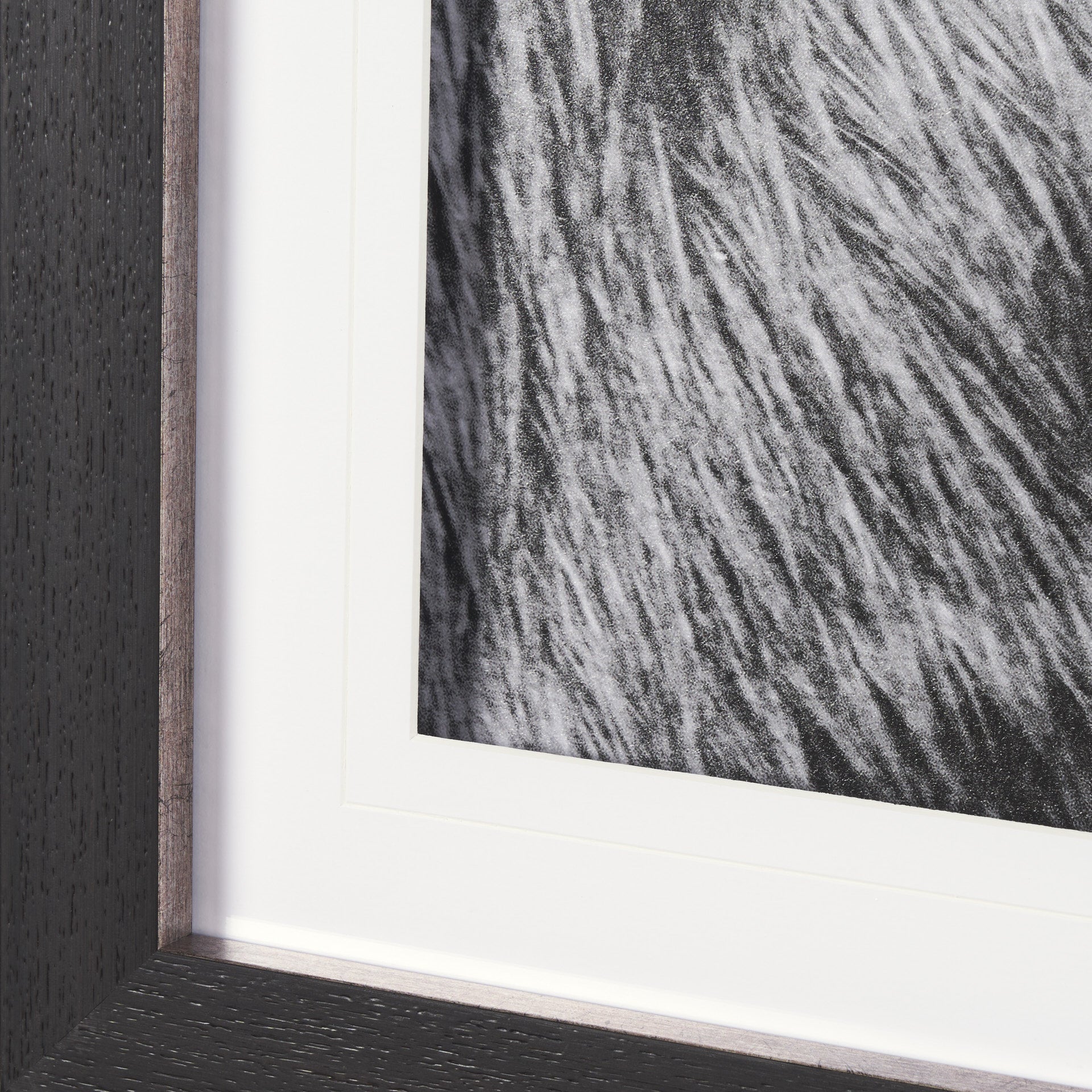 Mustang by Nathan Larson a Hand Embellished Framed Art Print Matted under Glass White Cliff Studio