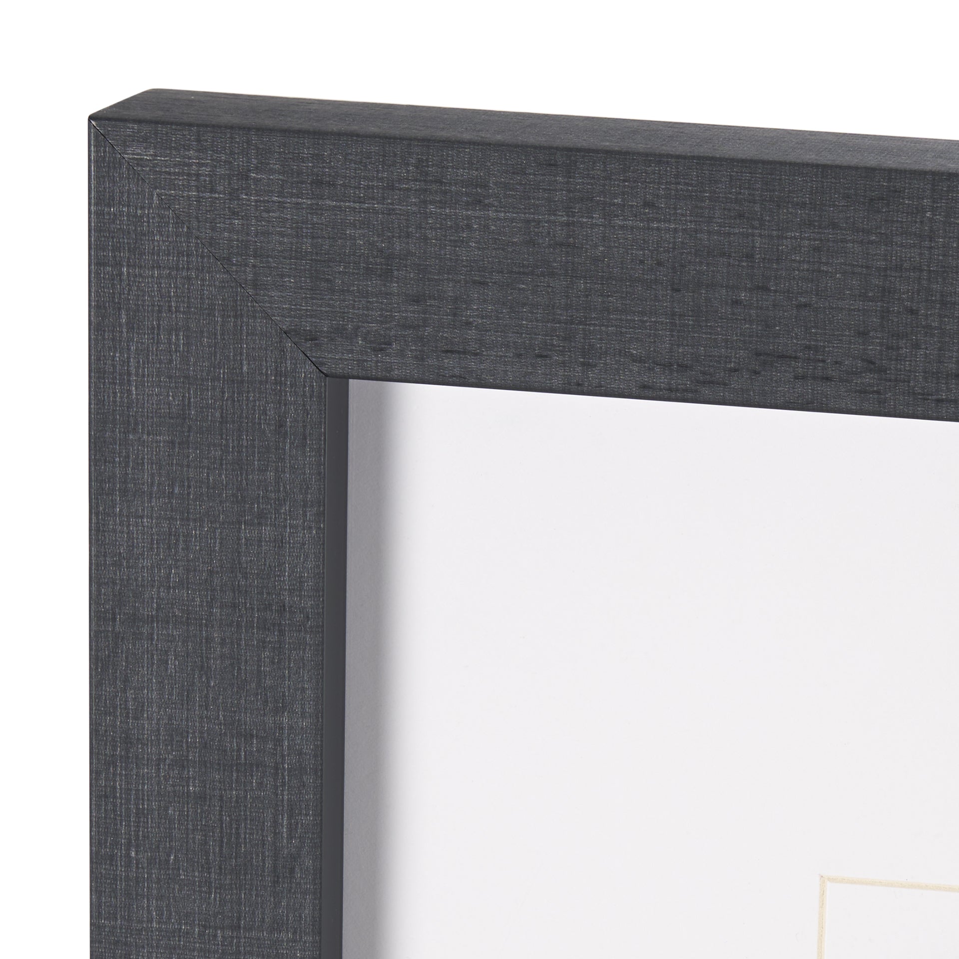 On The Ranch Cactus I by Norm Stelfox Hand Embelished Textured Framed Art Print Matted under Glass White Cliff Studio Landscape