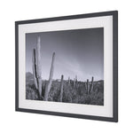 On The Ranch Cactus I by Norm Stelfox Hand Embelished Textured Framed Art Print Matted under Glass White Cliff Studio Landscape