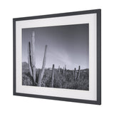 On The Ranch Cactus I by Norm Stelfox Hand Embelished Textured Framed Art Print Matted under Glass White Cliff Studio Landscape