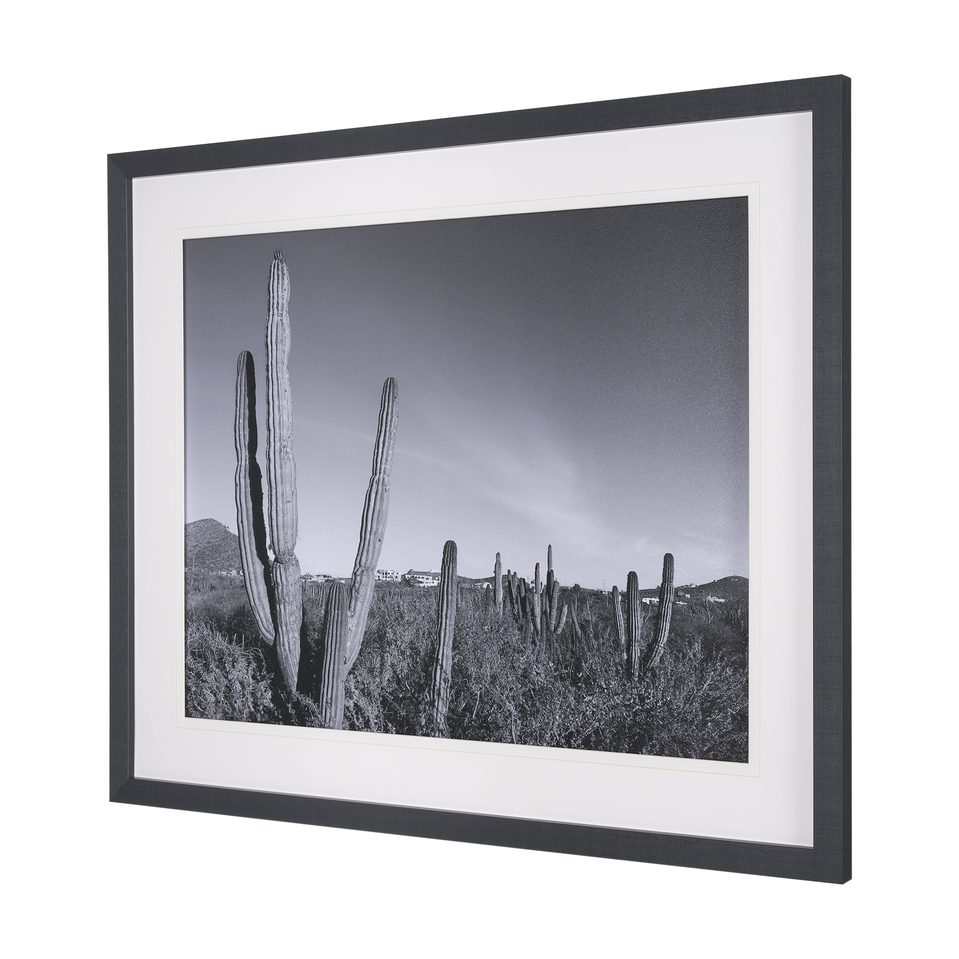 On The Ranch Cactus I by Norm Stelfox Hand Embelished Textured Framed Art Print Matted under Glass White Cliff Studio Landscape