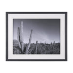 On The Ranch Cactus I by Norm Stelfox Hand Embelished Textured Framed Art Print Matted under Glass White Cliff Studio Landscape