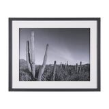 On The Ranch Cactus I by Norm Stelfox Hand Embelished Textured Framed Art Print Matted under Glass White Cliff Studio Landscape