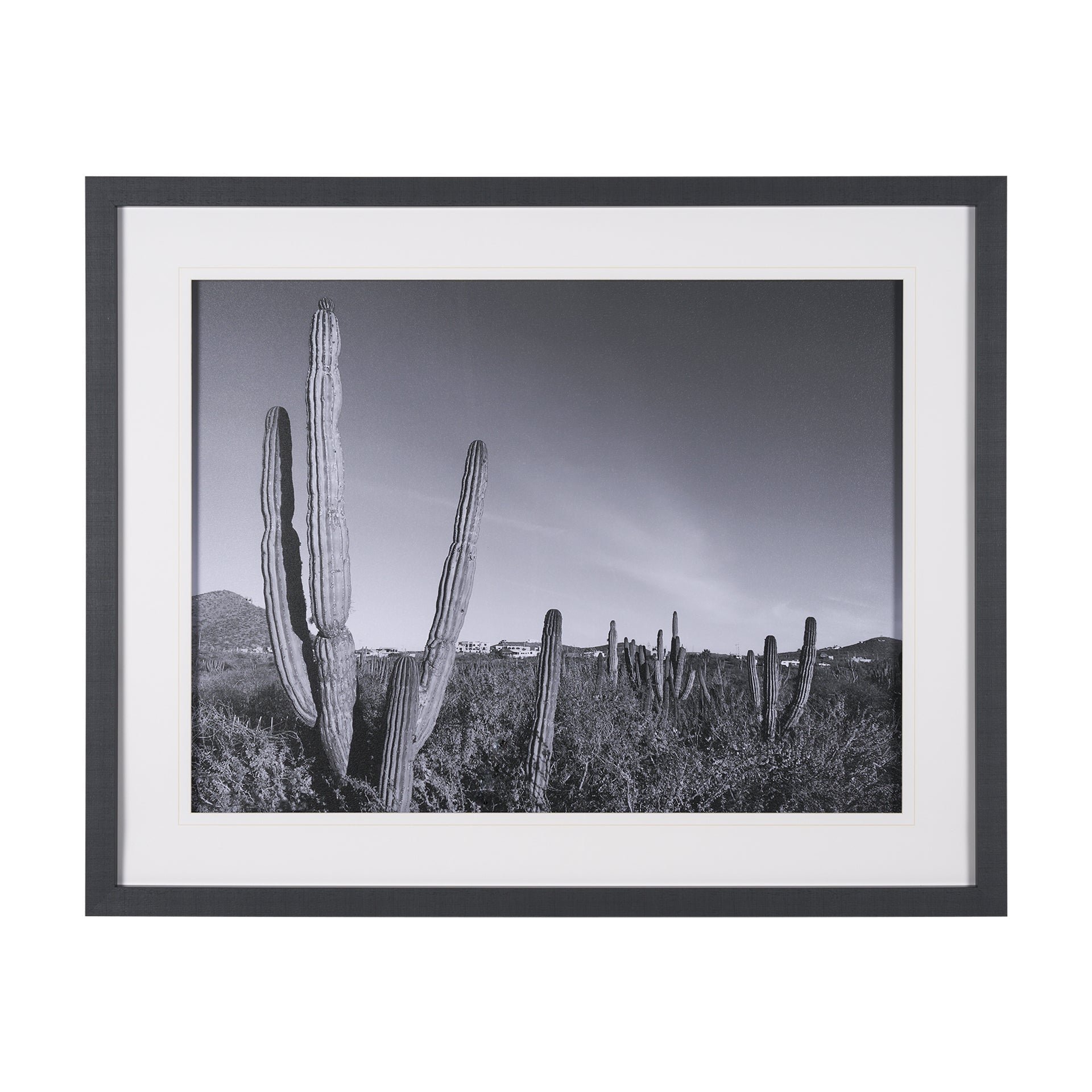 On The Ranch Cactus I by Norm Stelfox Hand Embelished Textured Framed Art Print Matted under Glass White Cliff Studio Landscape