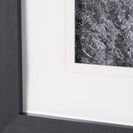 On The Ranch Cactus I by Norm Stelfox Hand Embelished Textured Framed Art Print Matted under Glass White Cliff Studio Landscape