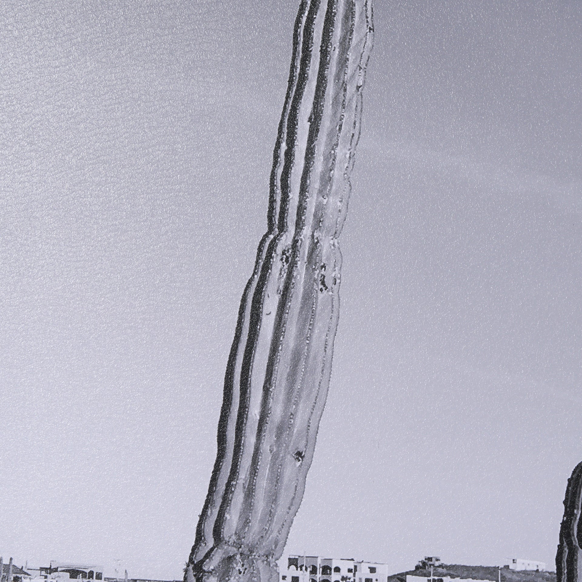 On The Ranch Cactus I by Norm Stelfox Hand Embelished Textured Framed Art Print Matted under Glass White Cliff Studio Landscape