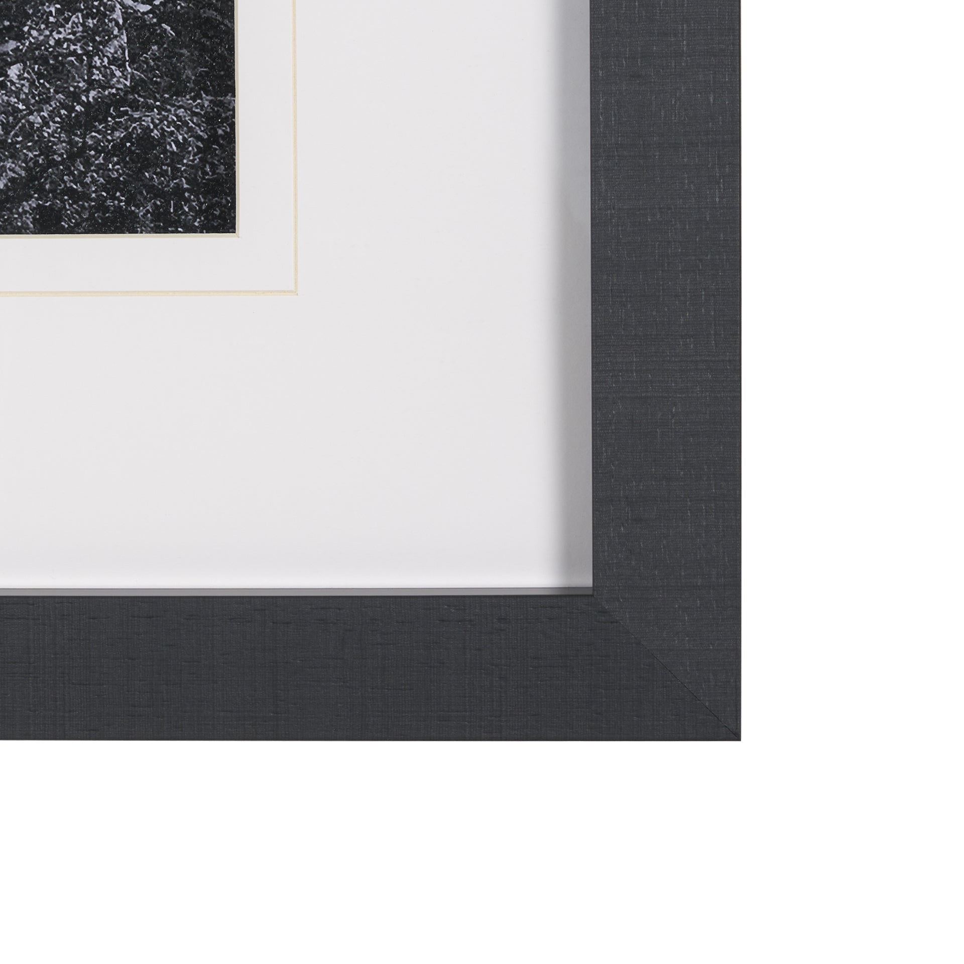 On The Ranch Cactus I by Norm Stelfox Hand Embelished Textured Framed Art Print Matted under Glass White Cliff Studio Landscape