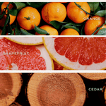 Pink Grapefruit Soy Candle - Clear Jar - 9 oz White Cliff Studio Candles and Candle Accessories