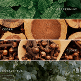 Relaxation Soy Candle - Tinted Glass Jar - 12 oz White Cliff Studio Candles and Candle Accessories