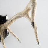 Stanton Wall Antlers White Cliff Studio