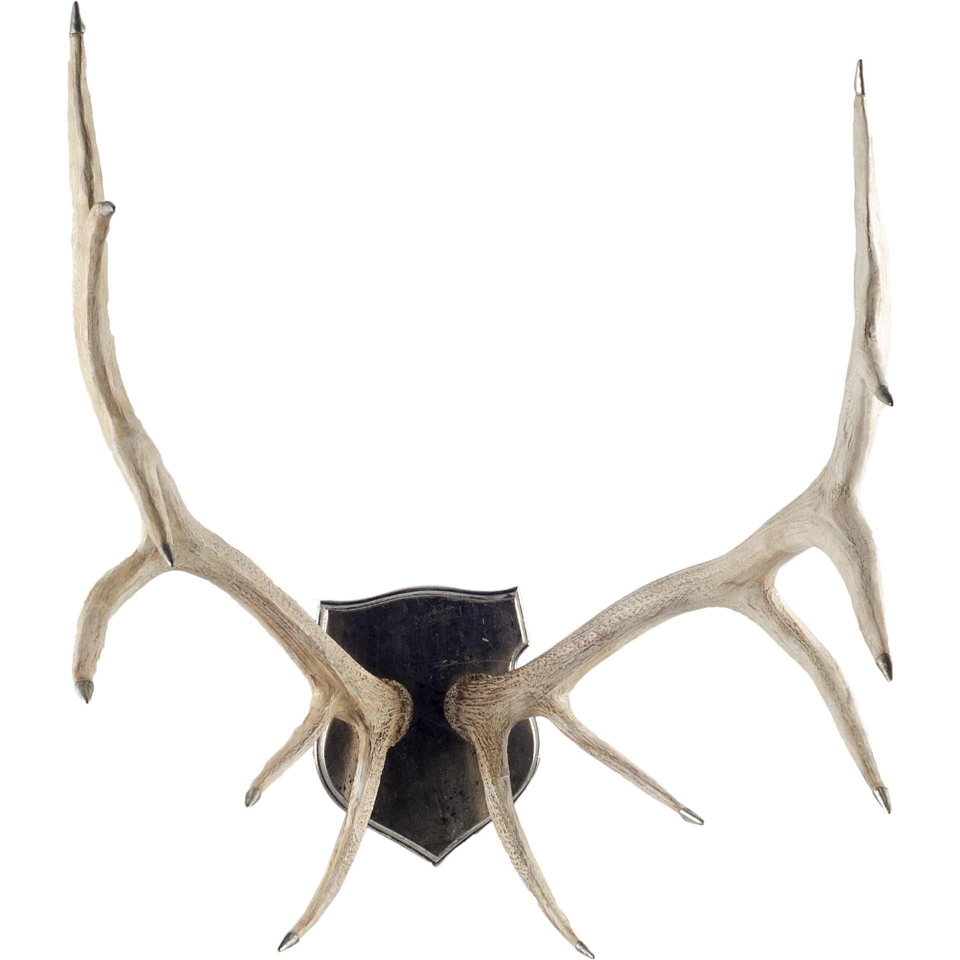 Stanton Wall Antlers White Cliff Studio