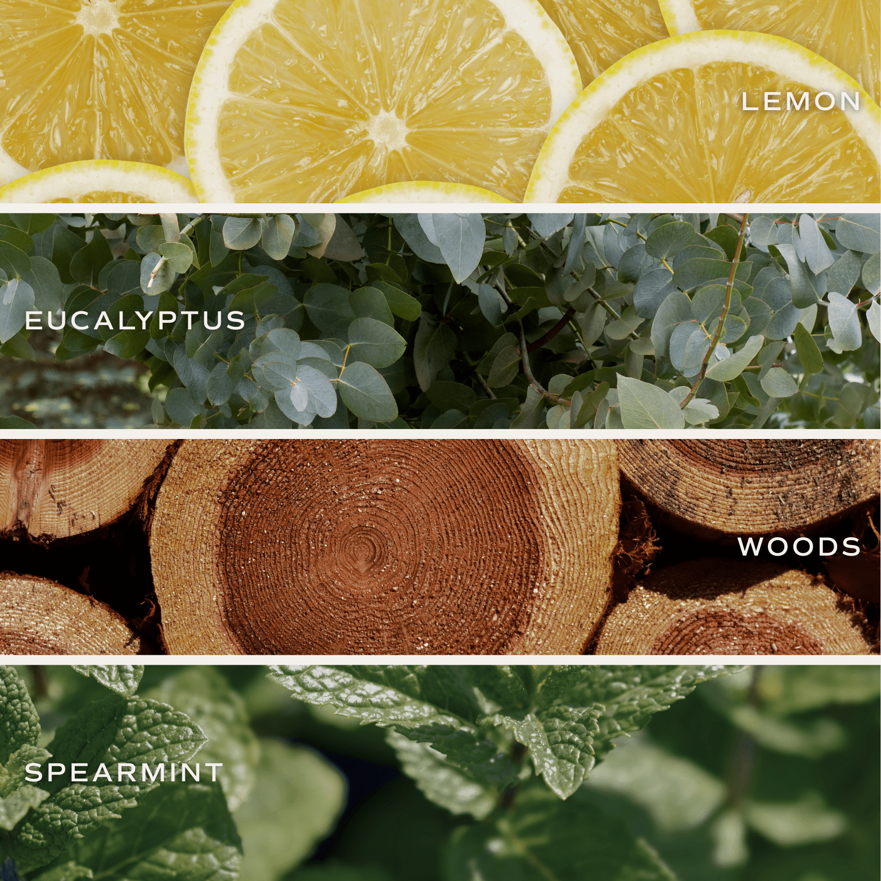 Stress Relief Soy Candle - Tinted Glass Jar - 12 oz White Cliff Studio Candles and Candle Accessories