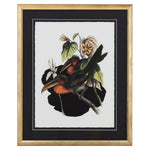 Vintage Toucan I Artwork White Cliff Studio Abstract Art