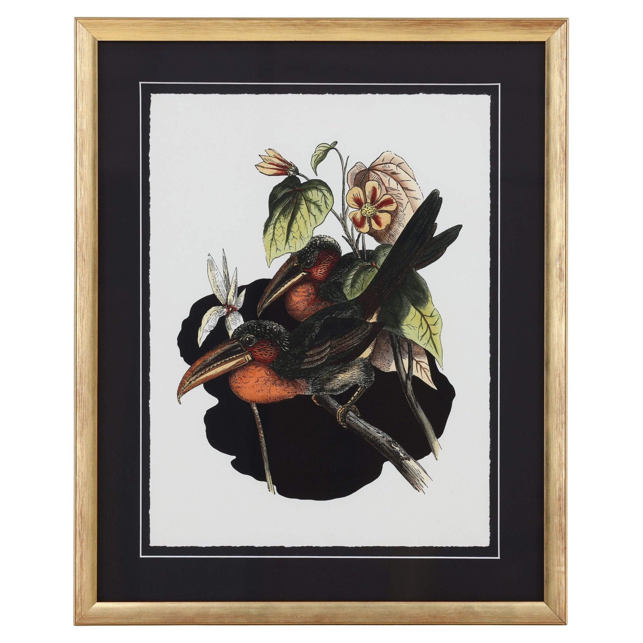 Vintage Toucan I Artwork White Cliff Studio Abstract Art