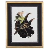 Vintage Toucan II Artwork White Cliff Studio Abstract Art