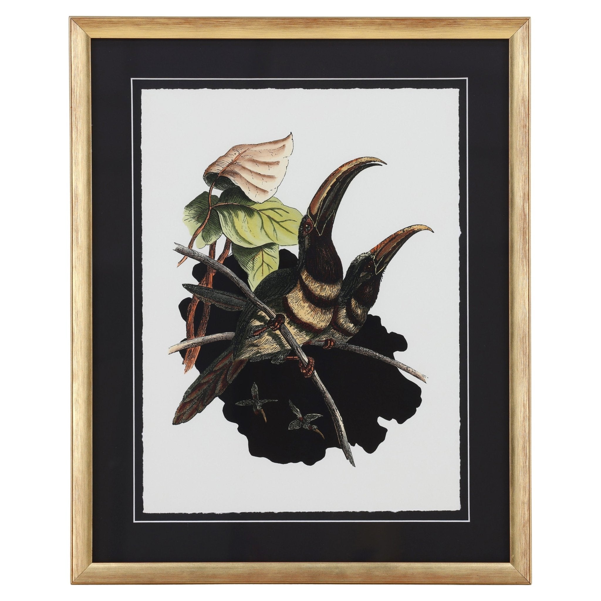 Vintage Toucan II Artwork White Cliff Studio Abstract Art