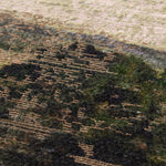 Amber Lewis x Loloi Mont Beige / Green Wall Art - Image 3