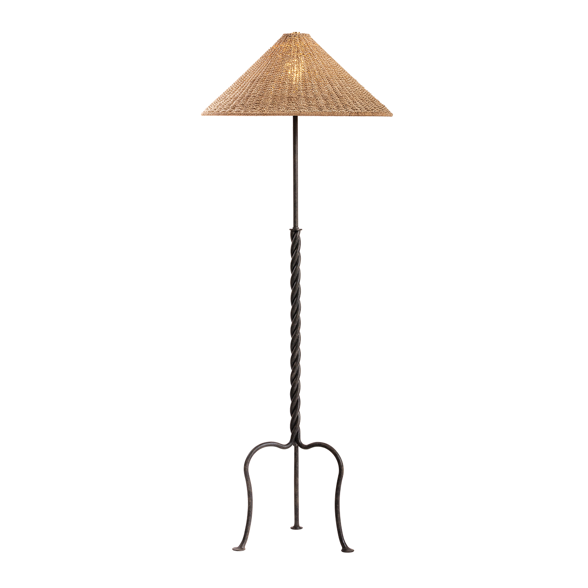 Troy Lighting Francisco Floor Lamp in French Iron - Detail Close-Up