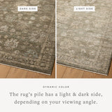 Loloi Priscilla Olive / Sand Rug White Cliff Studio Area Rugs