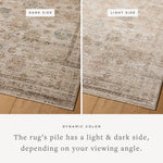Loloi Priscilla Ivory / Multi Rug White Cliff Studio Area Rugs