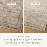 Loloi Priscilla Ivory / Multi Rug White Cliff Studio Area Rugs