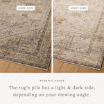 Loloi Priscilla Beige / Earth Rug White Cliff Studio Area Rugs
