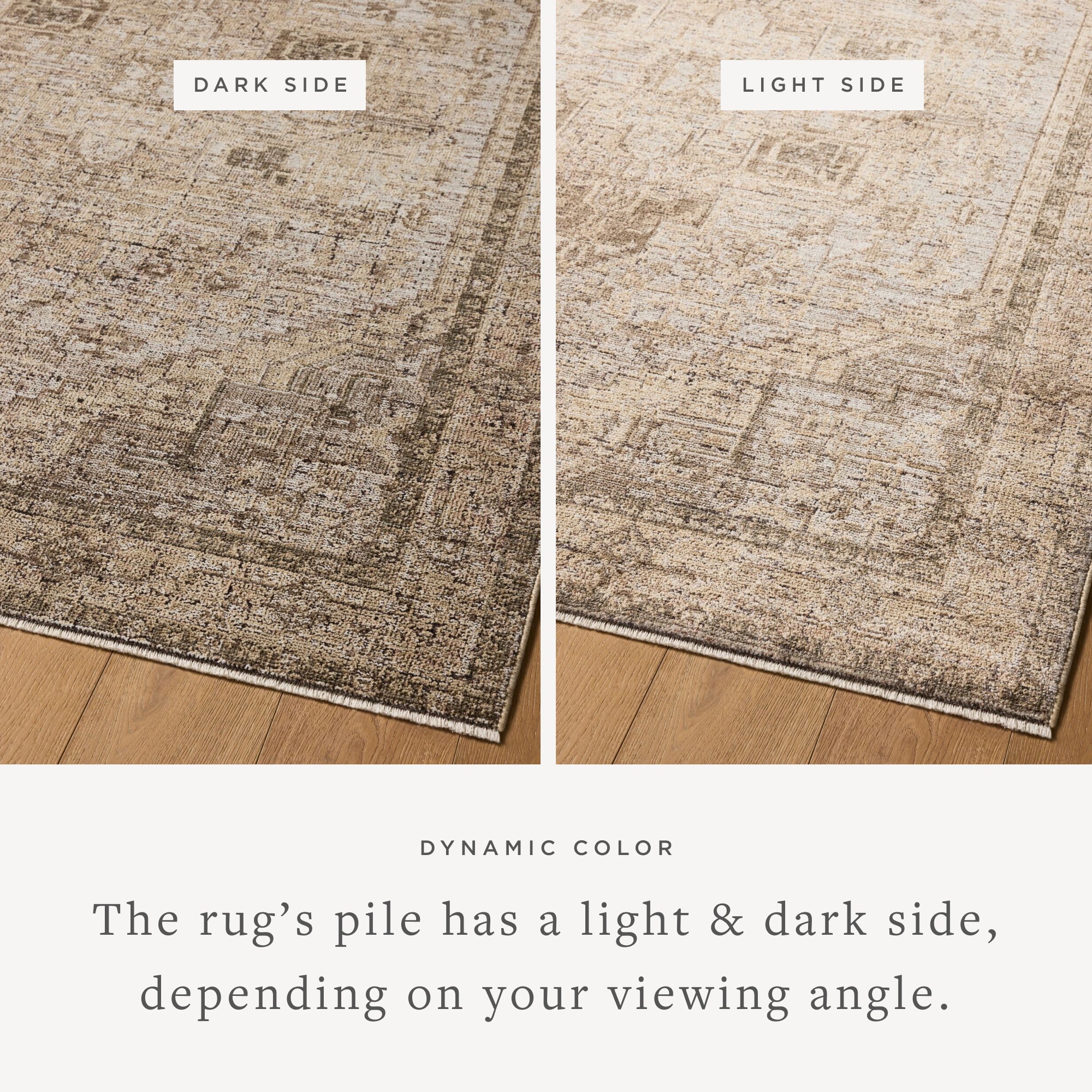 Loloi Priscilla Beige / Earth Rug White Cliff Studio Area Rugs