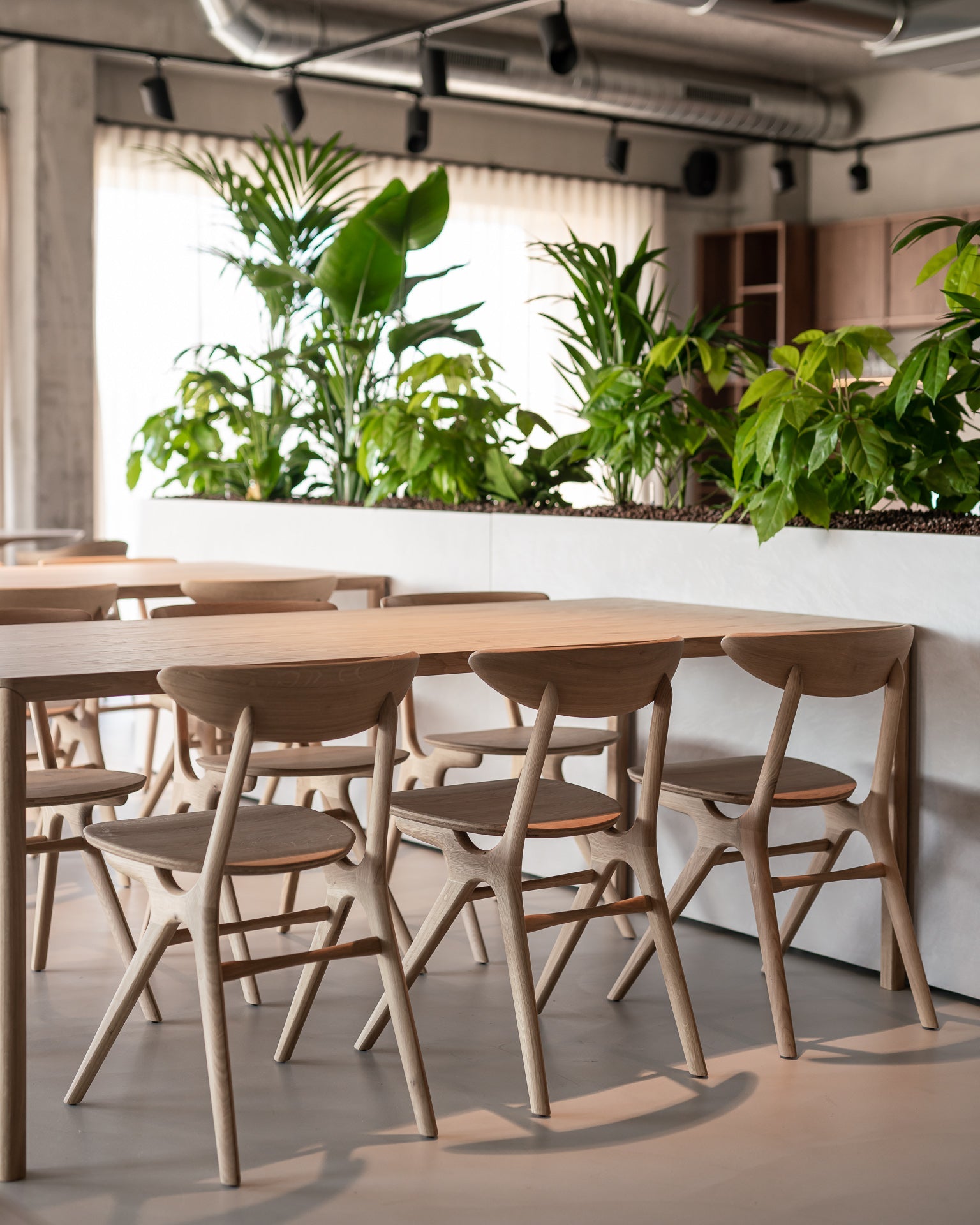 Air dining table - varnished oak - rectangular White Cliff Studio Dining Table