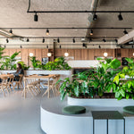 Air dining table - varnished oak - rectangular White Cliff Studio Dining Table