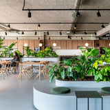 Air dining table - varnished oak - rectangular White Cliff Studio Dining Table