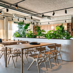 Air dining table - varnished oak - rectangular White Cliff Studio Dining Table