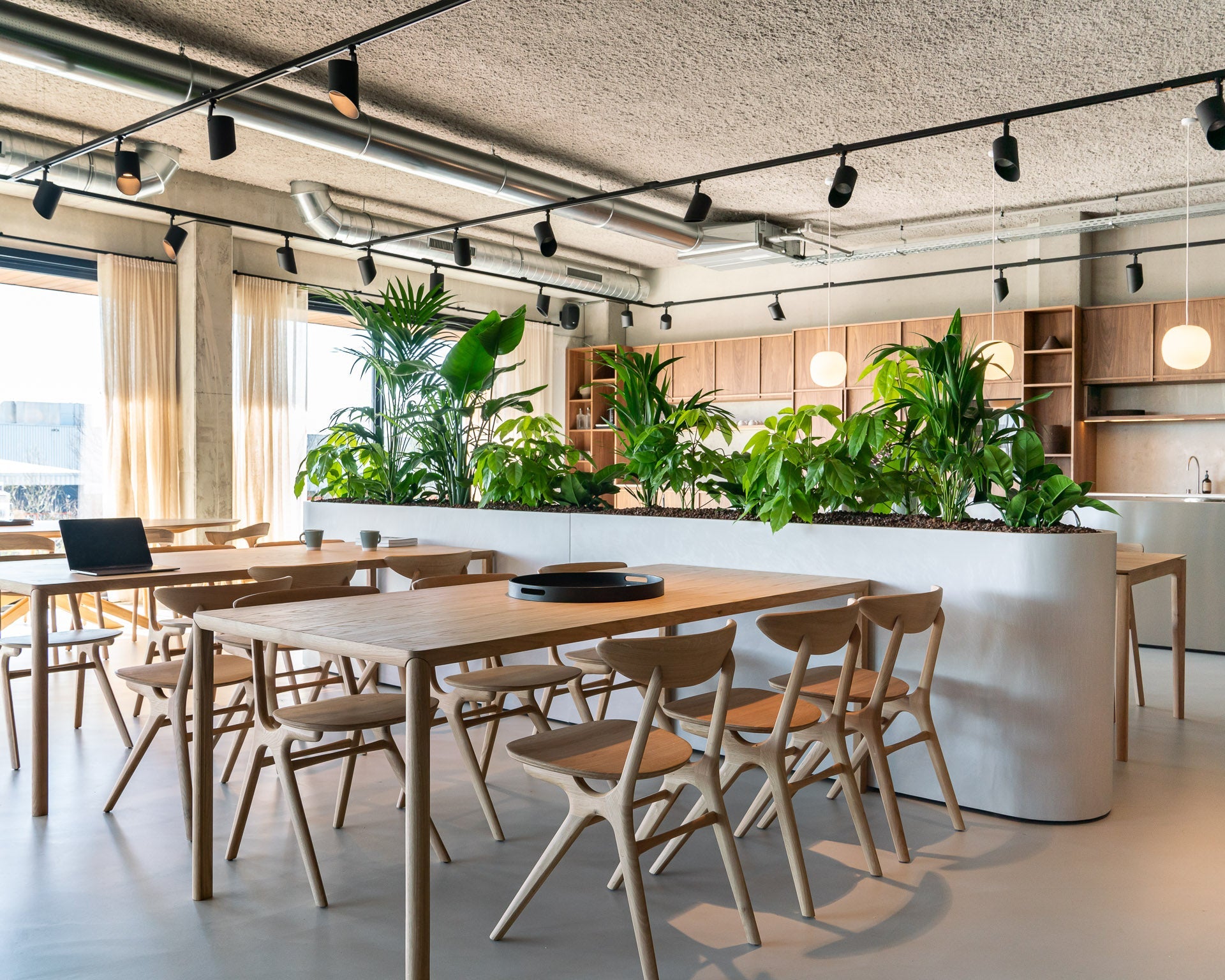 Air dining table - varnished oak - rectangular White Cliff Studio Dining Table