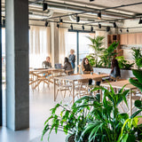 Air dining table - varnished oak - rectangular White Cliff Studio Dining Table