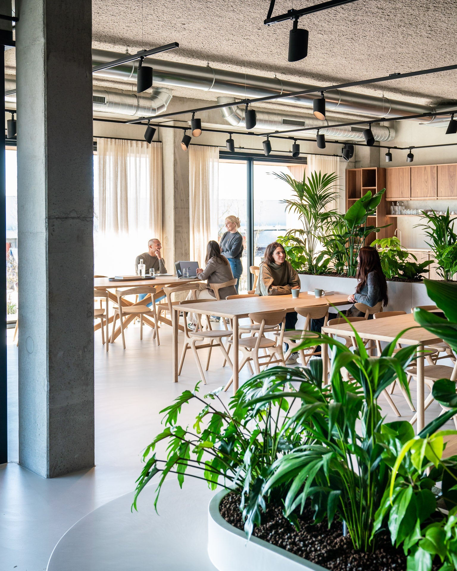 Air dining table - varnished oak - rectangular White Cliff Studio Dining Table