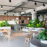 Air dining table - varnished oak - rectangular White Cliff Studio Dining Table