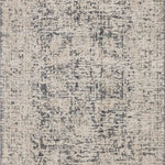 Amber Lewis x Loloi Alie Charcoal / Beige Rug