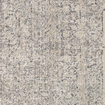 Amber Lewis x Loloi Alie Stone / Mist Rug
