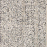 Amber Lewis x Loloi Alie Stone / Mist Rug