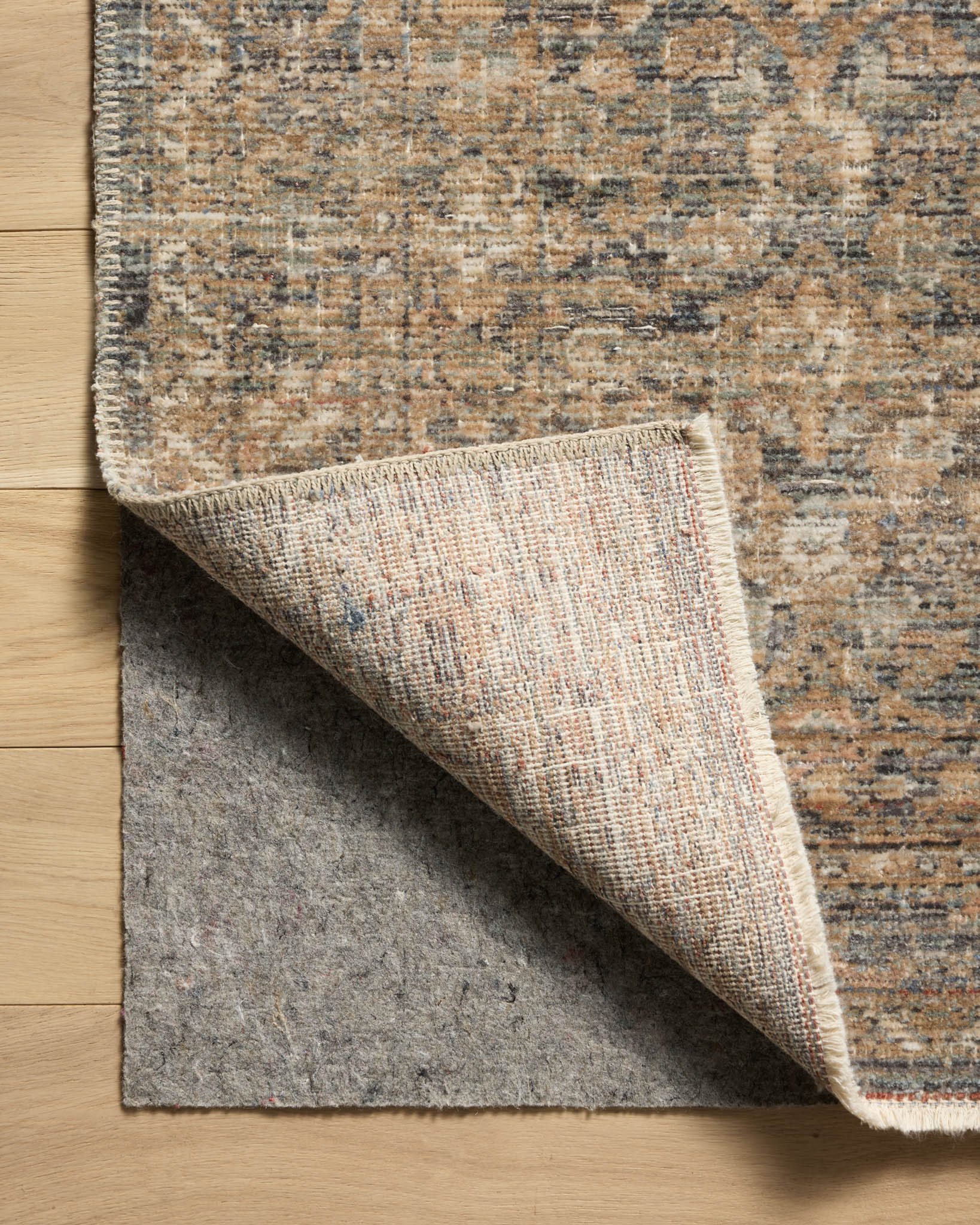 Amber Lewis x Loloi Molly Denim / Gold Rug White Cliff Studio Area Rugs