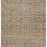 Amber Lewis x Loloi Molly Denim / Gold Rug White Cliff Studio Area Rugs